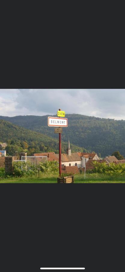 Gite De Montagne Au Pied Du Champ Du Feu Belmont (Bas-Rhin) Exterior foto