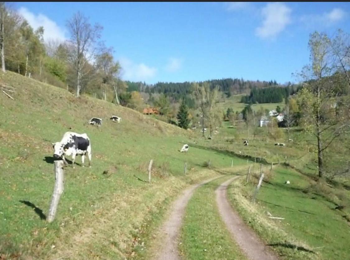 Gite De Montagne Au Pied Du Champ Du Feu Belmont (Bas-Rhin) Exterior foto